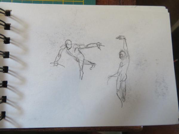 Anatomie