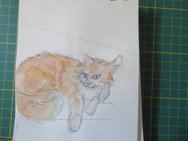 Croquis