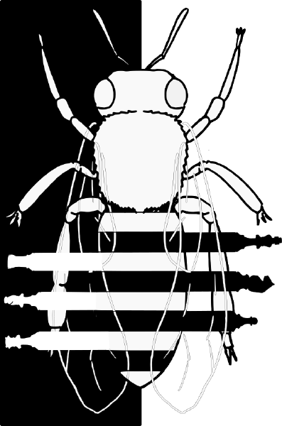 Logos et Dessins Vectoriels